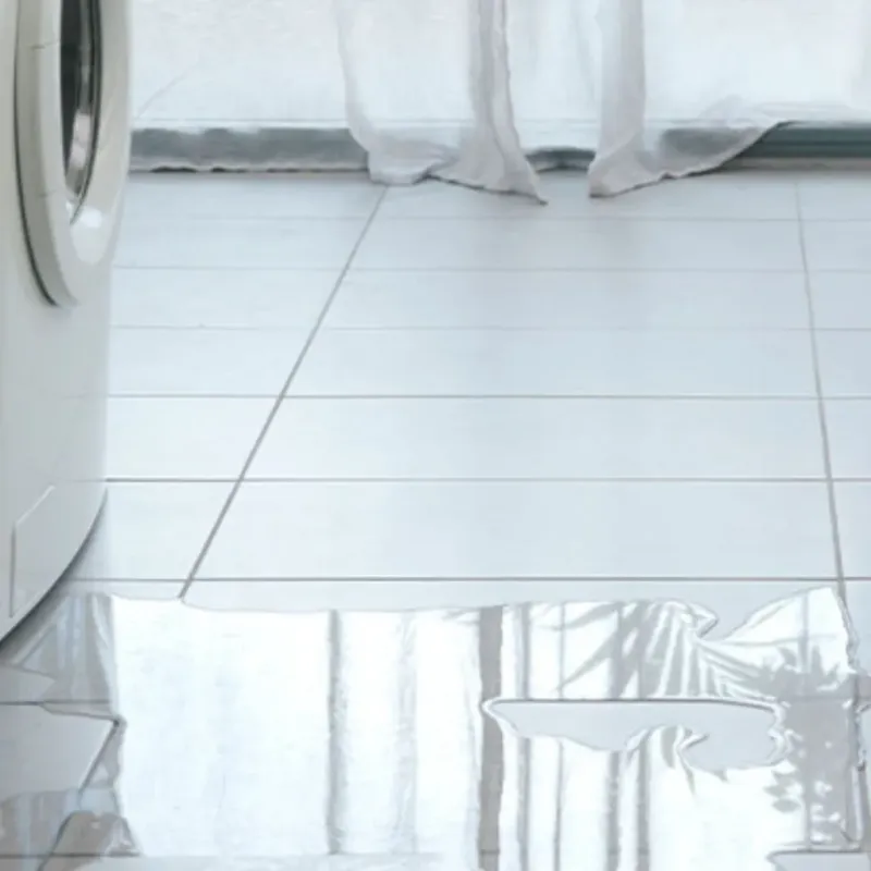 Appliance Leak Cleanup in Columbus, KS