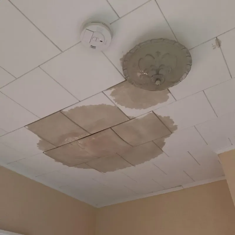 Ceiling Water Damage Repair in Columbus, KS