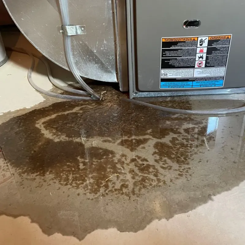 Pipe Burst and Leak Restoration in Columbus, KS
