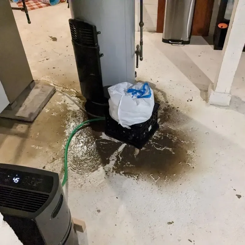 Sewage Backup Cleanup Service in Columbus, KS